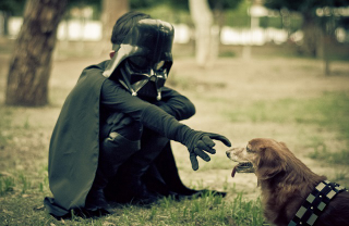 Illustration for article titled The most adorable Han Solo and Chewbacca are this kid and his dog